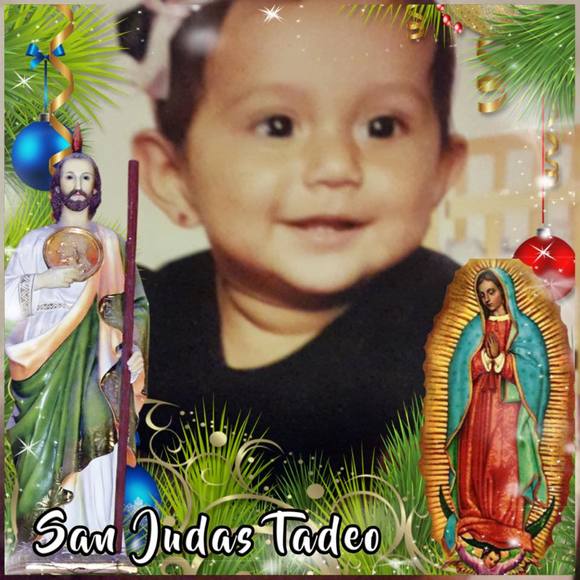 Meet your Posher, Evelyn - Picture 1 of 1